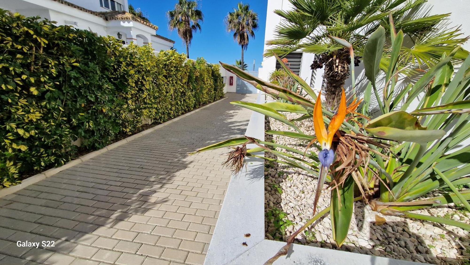 Апартаменты Boutelou Playa Con Vistas Al Mar Санлукар-де-Баррамеда Экстерьер фото